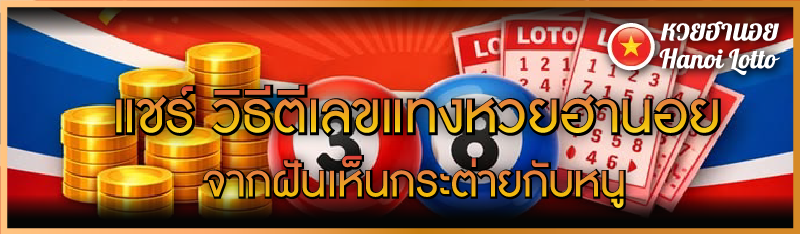 แชร์ วิธีตีเลขแทงหวยฮานอย จากฝันเห็นกระต่ายกับหนู